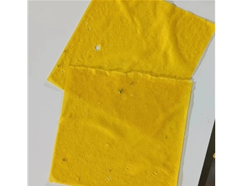 方形纯鸡蛋液皮